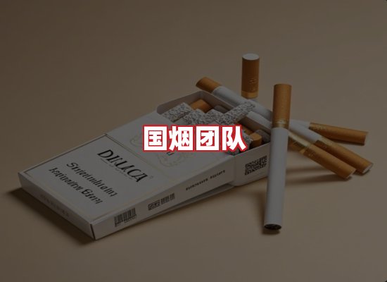 国烟团队